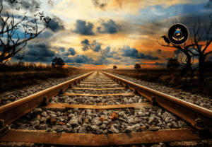 The Carnegie Code: Decoding Wealth for the Digital Age