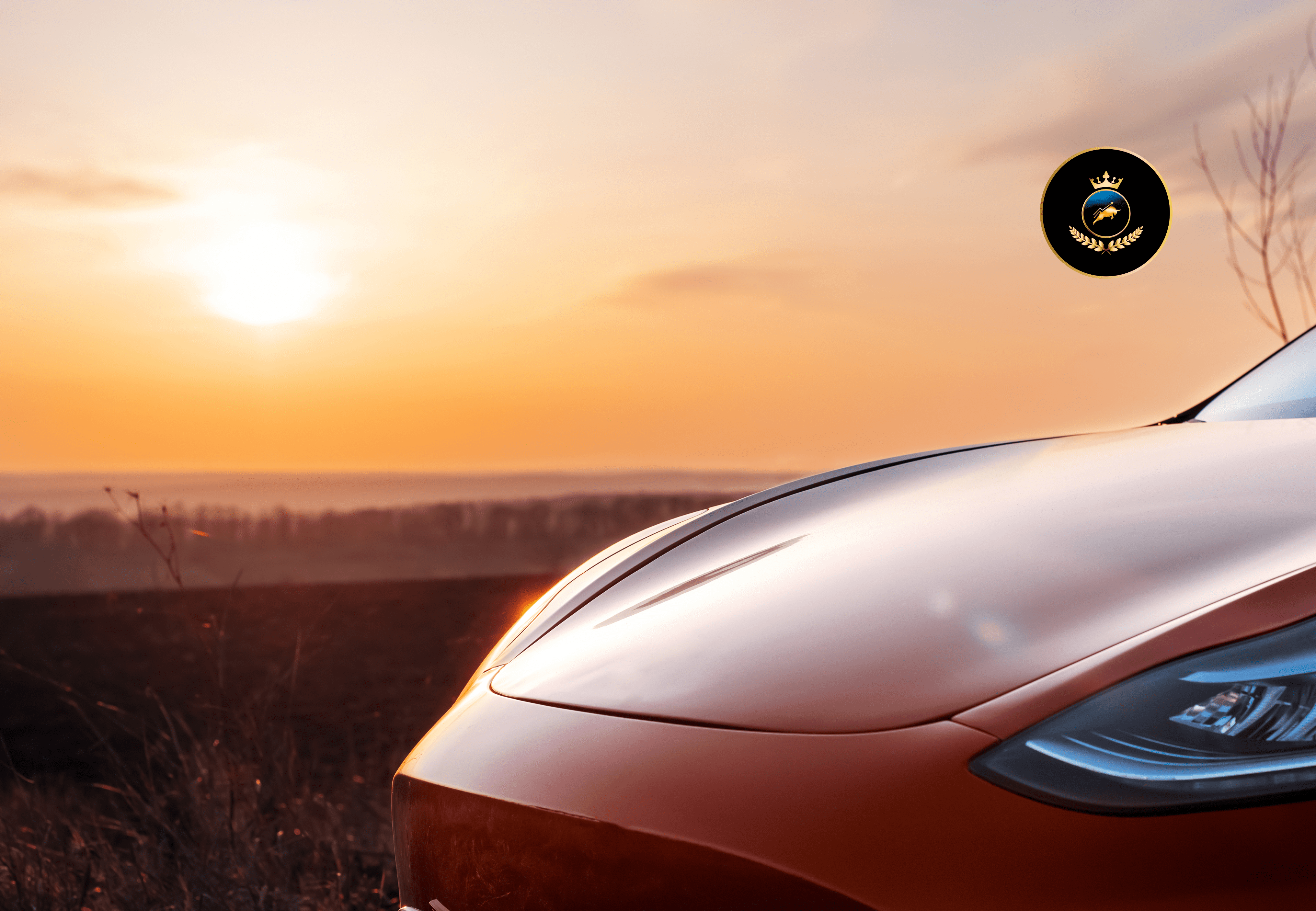 Autonomous Ambition: Will Tesla Investors Ride the Stock or Jump Off?