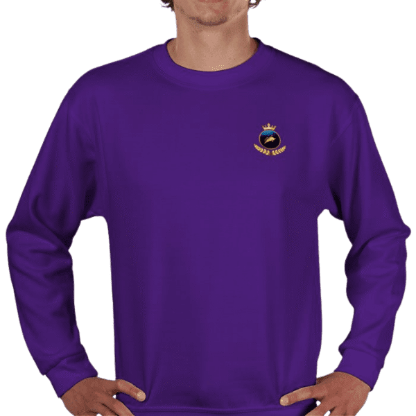 Front view of Regal Investor Sweater Amethyst, luxury apparel by Investor GCC